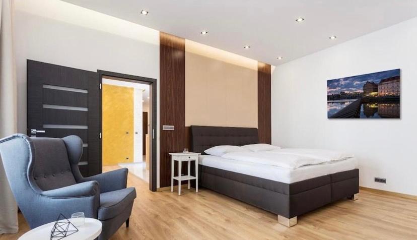 Luxury Apartment On Wenceslas Square Prague