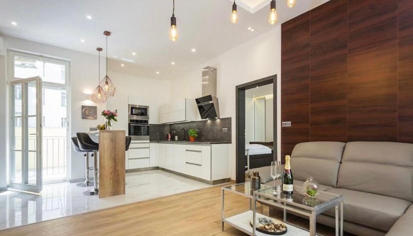 Apartment Luxury Apartment On Wenceslas Square Prague