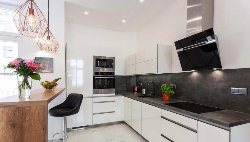 Luxury Apartment On Wenceslas Square Prague